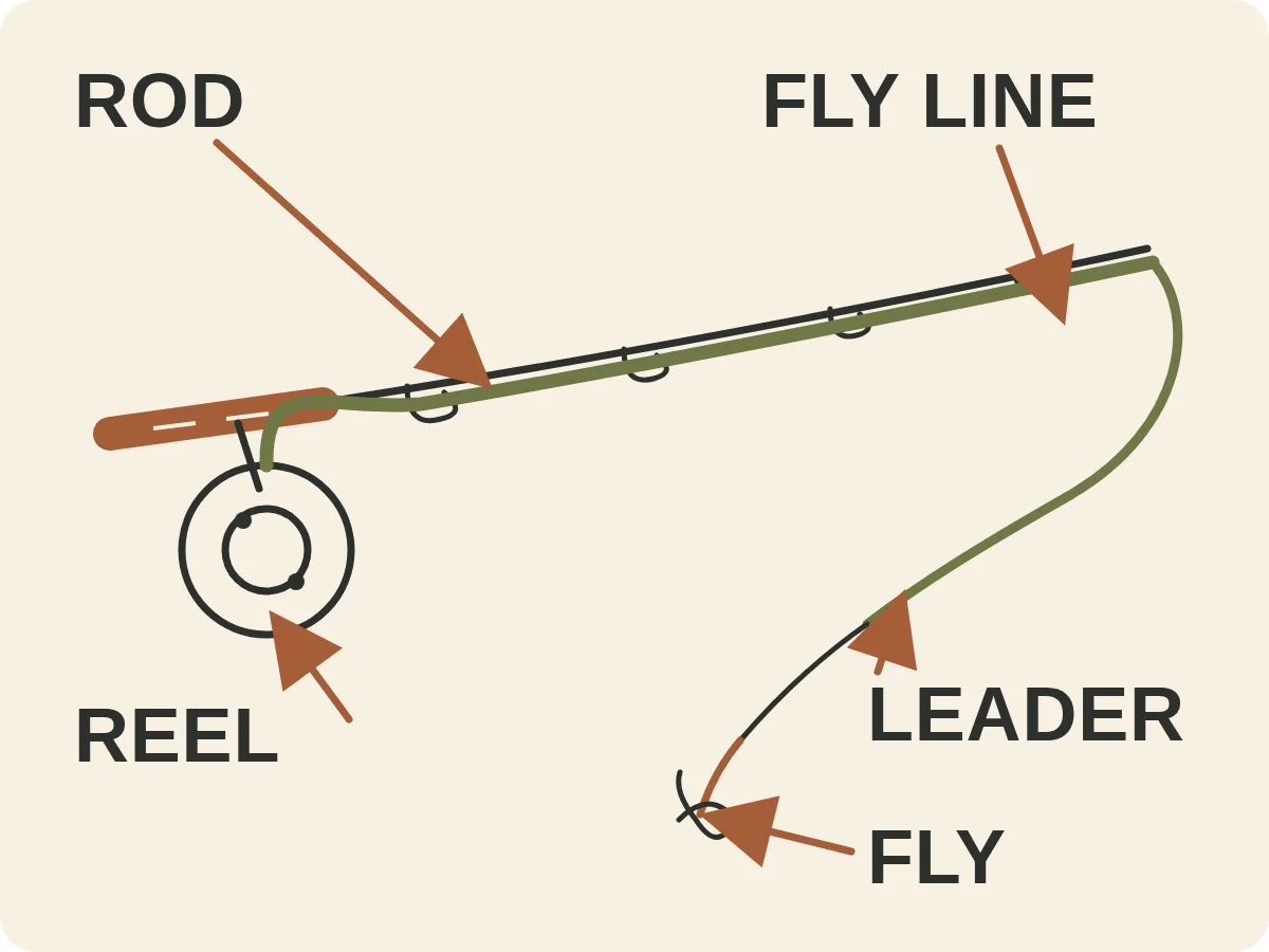 Doodle diagram labelling a conventional fly-fishing setup: rod, reel, fly line, leader and fly.