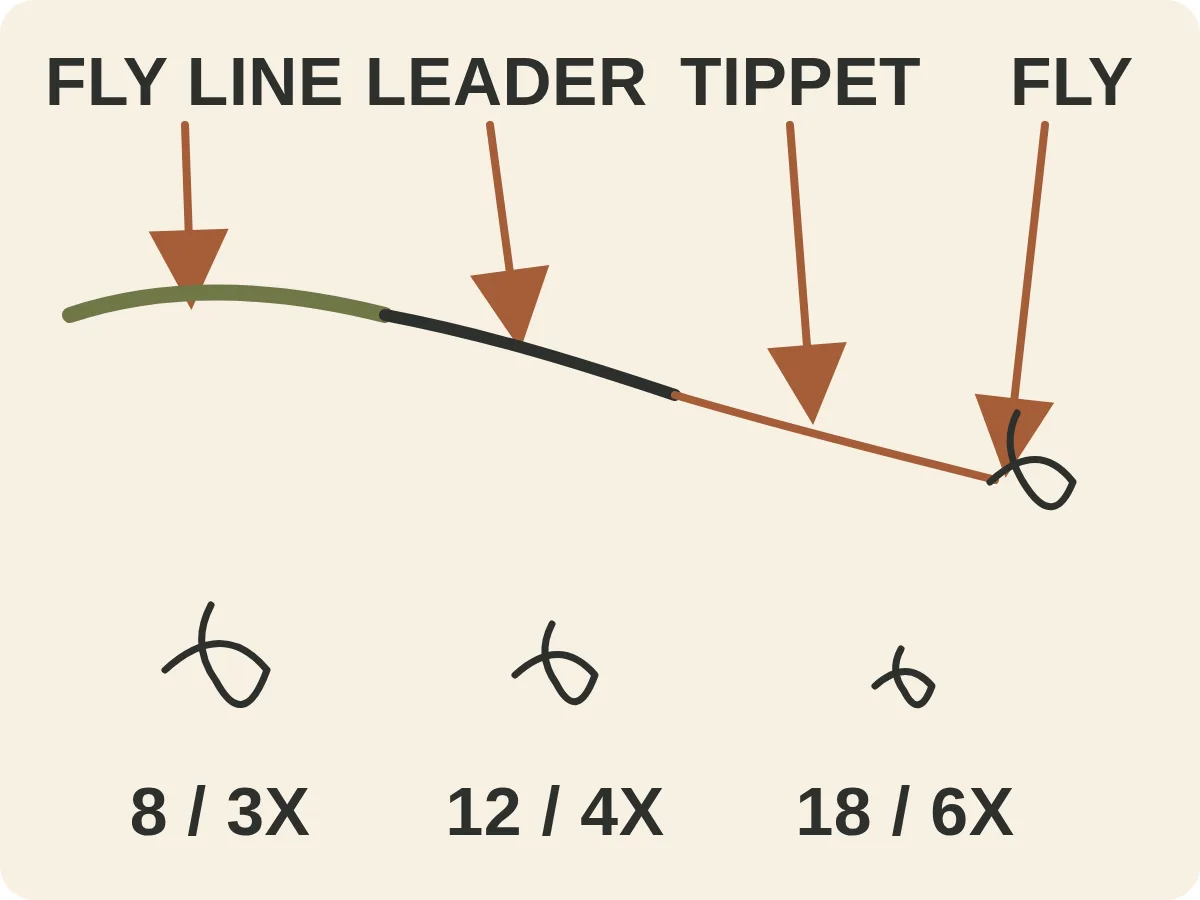 Doodle diagram showing fly line connected to a tapered leader, then tippet and fly, with size 8, 12 and 18 hooks becoming progressively smaller.